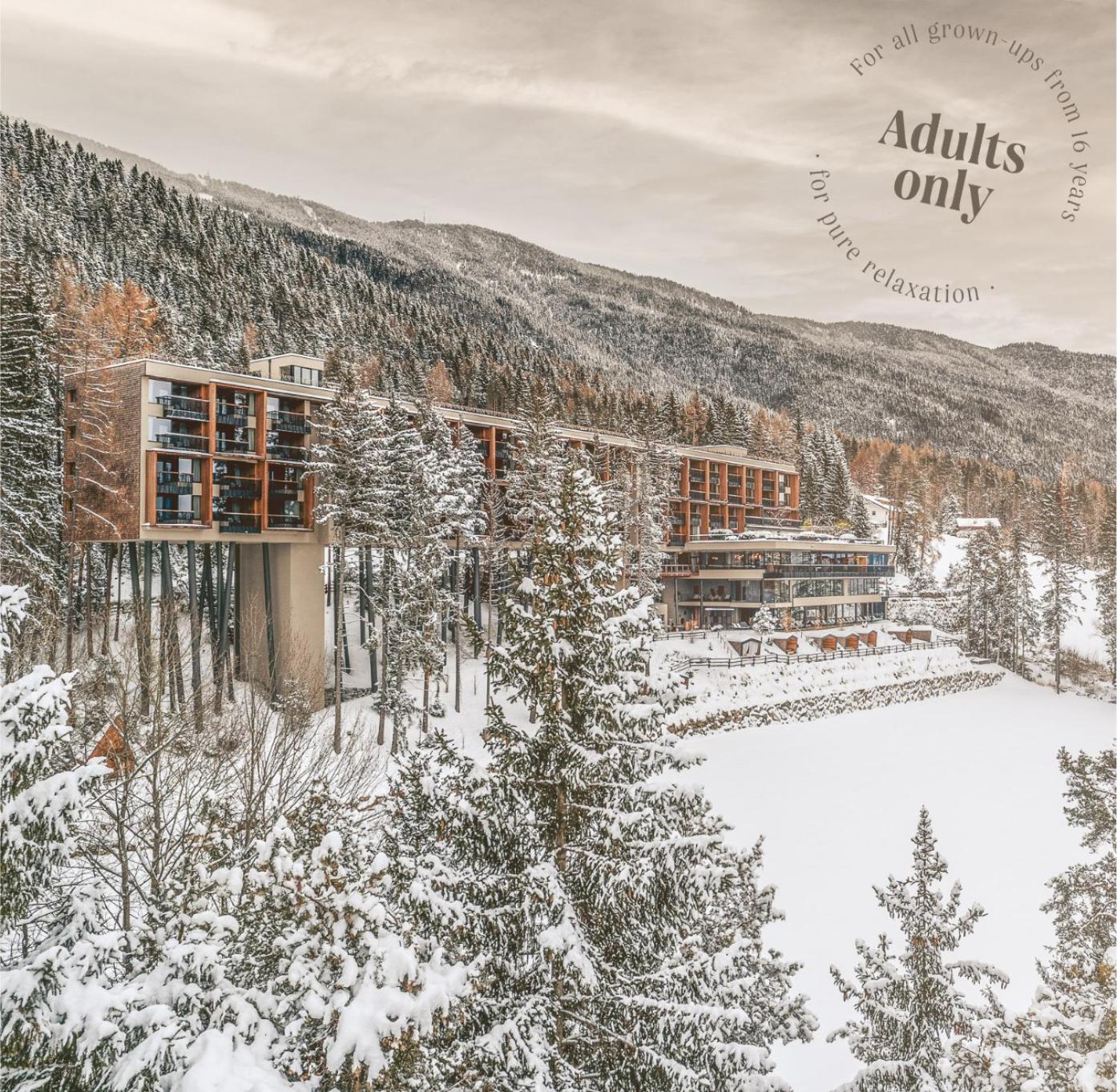 My Arbor - Dolomites Otel Bressanone Dış mekan fotoğraf The 7132 Summit